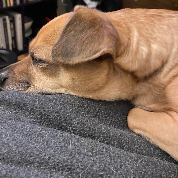 Meet your Posher - Picture 1 of 1